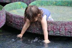 18664648_10211798194805293_2061505045585316238_n